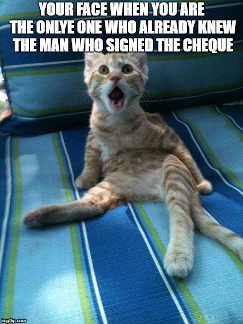 cat surprissed | YOUR FACE WHEN YOU ARE THE ONLYE ONE WHO ALREADY KNEW THE MAN WHO SIGNED THE CHEQUE | image tagged in cat surprissed | made w/ Imgflip meme maker