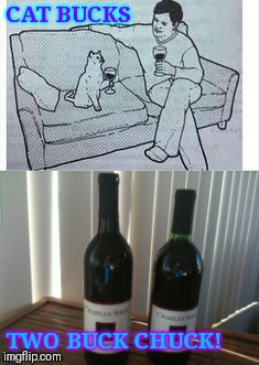 See These Two Bucks | CAT BUCKS; TWO BUCK CHUCK! | image tagged in funny memes,cats,wine | made w/ Imgflip meme maker