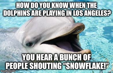 Snowflakes | HOW DO YOU KNOW WHEN THE DOLPHINS ARE PLAYING IN LOS ANGELES? YOU HEAR A BUNCH OF PEOPLE SHOUTING “SNOWFLAKE!” | image tagged in dumb joke dolphin,memes,los angeles,snowflake,liberals,conservatives | made w/ Imgflip meme maker
