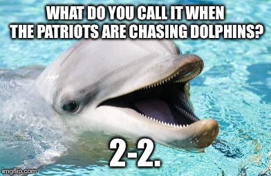 Patriots still behind Dolphins | WHAT DO YOU CALL IT WHEN THE PATRIOTS ARE CHASING DOLPHINS? 2-2. | image tagged in dumb joke dolphin,memes,dolphin,new england patriots,nfl football,record | made w/ Imgflip meme maker