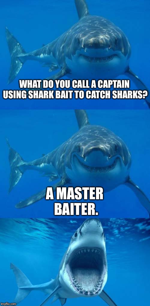 Shark Bait | WHAT DO YOU CALL A CAPTAIN USING SHARK BAIT TO CATCH SHARKS? A MASTER BAITER. | image tagged in bad shark pun,memes,fish,masturbate,captain,shark | made w/ Imgflip meme maker