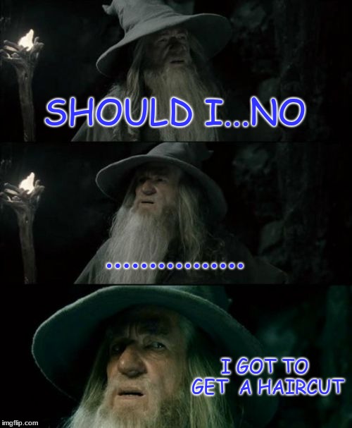 Confused Gandalf | SHOULD I...NO; ................ I GOT TO GET  A HAIRCUT | image tagged in memes,confused gandalf | made w/ Imgflip meme maker