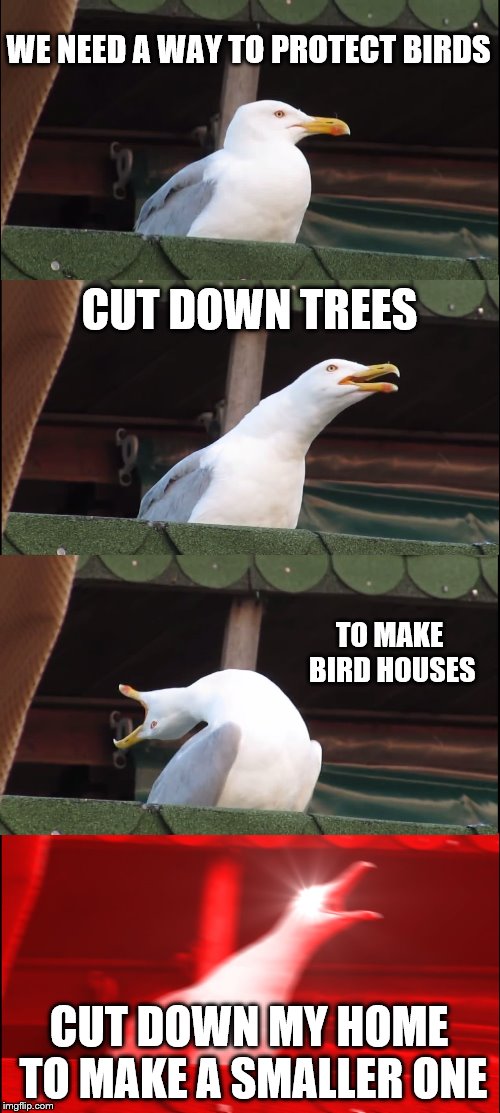 Inhaling Seagull | WE NEED A WAY TO PROTECT BIRDS; CUT DOWN TREES; TO MAKE BIRD HOUSES; CUT DOWN MY HOME TO MAKE A SMALLER ONE | image tagged in memes,inhaling seagull | made w/ Imgflip meme maker