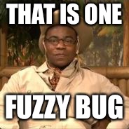Brian Fellows | THAT IS ONE; FUZZY BUG | image tagged in brian fellows | made w/ Imgflip meme maker