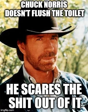 Chuck Norris Meme | CHUCK NORRIS DOESN'T FLUSH THE TOILET; HE SCARES THE SHIT OUT OF IT | image tagged in memes,chuck norris | made w/ Imgflip meme maker