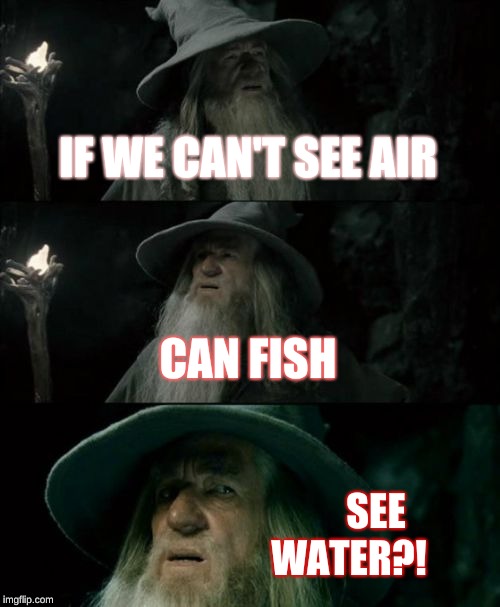 Confused Gandalf | IF WE CAN'T SEE AIR; CAN FISH; SEE WATER?! | image tagged in memes,confused gandalf | made w/ Imgflip meme maker