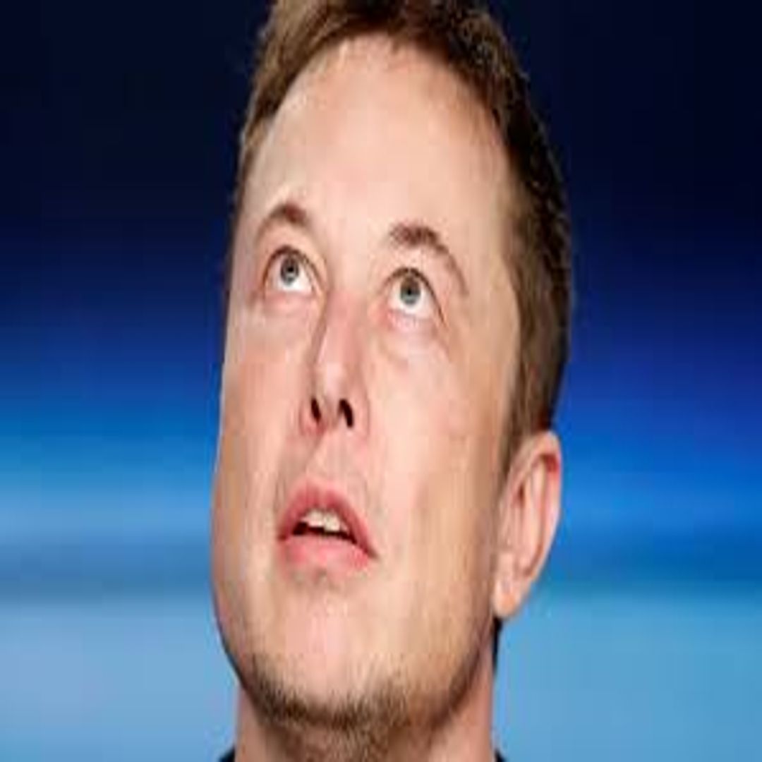 ElonMUSK Blank Meme Template