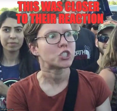 Triggered feminist | THIS WAS CLOSER TO THEIR REACTION | image tagged in triggered feminist | made w/ Imgflip meme maker