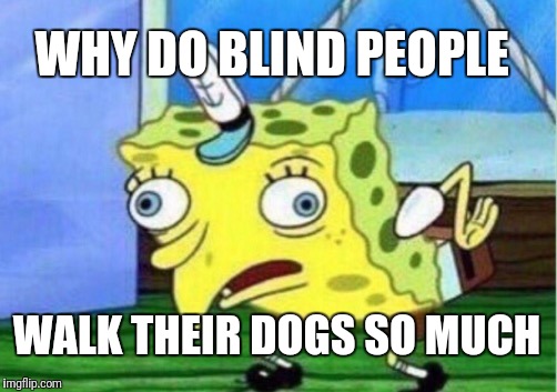 Mocking Spongebob | WHY DO BLIND PEOPLE; WALK THEIR DOGS SO MUCH | image tagged in memes,mocking spongebob | made w/ Imgflip meme maker