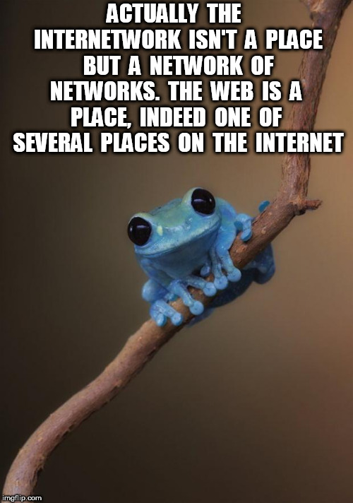 small fact frog | ACTUALLY  THE  INTERNETWORK  ISN'T  A  PLACE  BUT  A  NETWORK  OF  NETWORKS.  THE  WEB  IS  A  PLACE,  INDEED  ONE  OF  SEVERAL  PLACES  ON  | image tagged in small fact frog | made w/ Imgflip meme maker