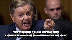 Lindsay's Dilemena | "DIDN'T YOU NOTICE IT, BRICK? DIDN'T YOU NOTICE A POWERFUL AND OBNOXIOUS ODOR OF MENDACITY IN THIS ROOM?" | image tagged in lindsey graham | made w/ Imgflip meme maker