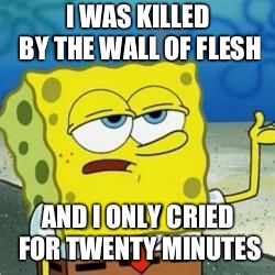 Spongebob I'll have you know | I WAS KILLED BY THE WALL OF FLESH; AND I ONLY CRIED FOR TWENTY MINUTES | image tagged in spongebob i'll have you know | made w/ Imgflip meme maker