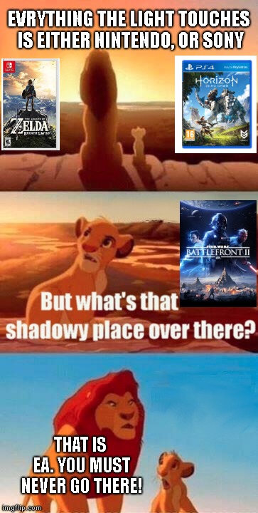 Simba Shadowy Place Meme | EVRYTHING THE LIGHT TOUCHES IS EITHER NINTENDO, OR SONY; THAT IS EA. YOU MUST NEVER GO THERE! | image tagged in memes,simba shadowy place | made w/ Imgflip meme maker