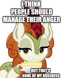 Kiren | I THINK PEOPLE SHOULD MANAGE THEIR ANGER; BUT THAT'S NONE OF MY BUSINESS | image tagged in kiren | made w/ Imgflip meme maker
