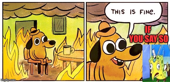 This Is Fine Meme | IF YOU SAY SO | image tagged in this is fine dog | made w/ Imgflip meme maker