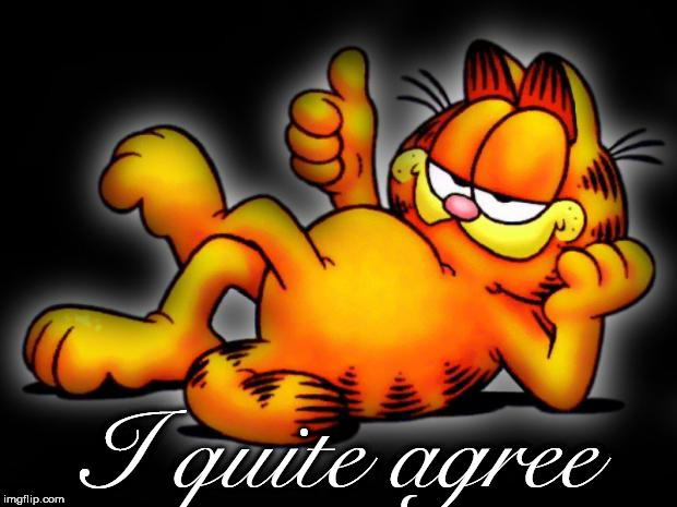 garfield thumbs up | I quite agree | image tagged in garfield thumbs up | made w/ Imgflip meme maker