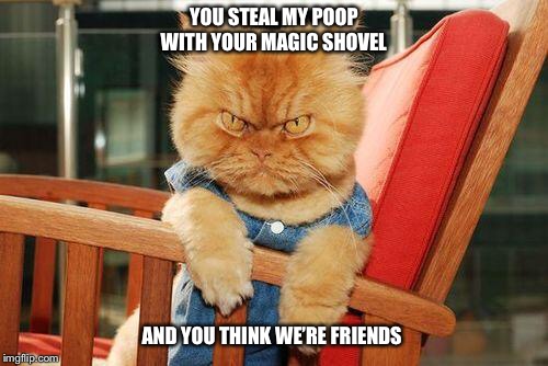 mad cat | YOU STEAL MY POOP WITH YOUR MAGIC SHOVEL; AND YOU THINK WE’RE FRIENDS | image tagged in mad cat,cat litter,poop,cat poop,stealing | made w/ Imgflip meme maker