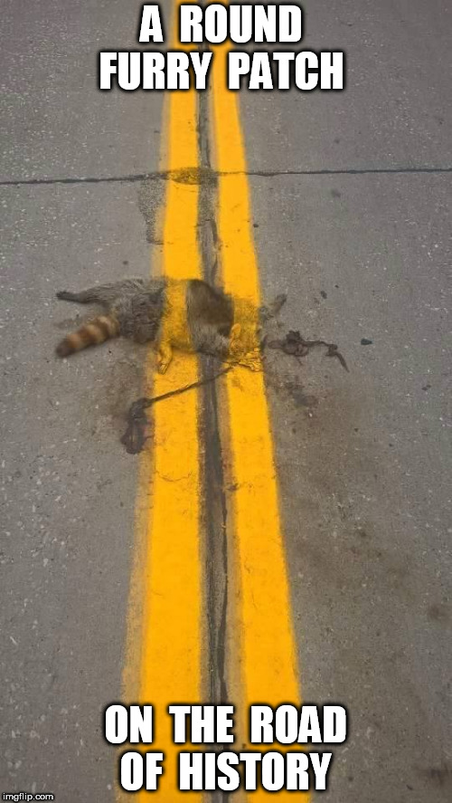 Roadkill line paint | A  ROUND  FURRY  PATCH ON  THE  ROAD  OF  HISTORY | image tagged in roadkill line paint | made w/ Imgflip meme maker
