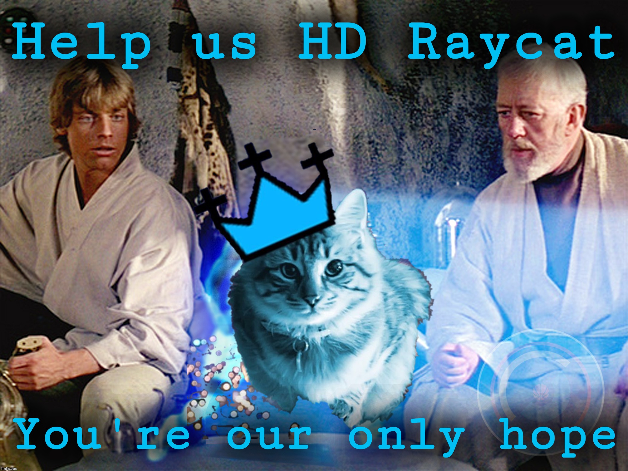 *RayCat | Help us HD Raycat; You're our only hope | image tagged in deaundreyyeayeadavis,raycat save the world,raycat wears the crown,three dancing raycats,hypno raycat,hd memes | made w/ Imgflip meme maker