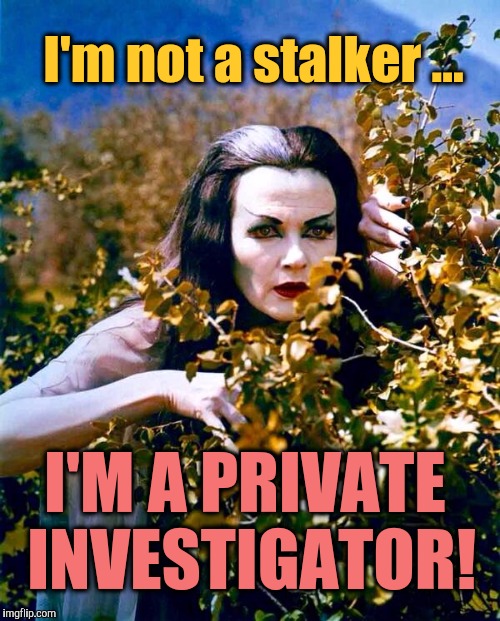 Stalker | I'm not a stalker ... I'M A PRIVATE INVESTIGATOR! | image tagged in stalker,the munsters,lilly munster | made w/ Imgflip meme maker