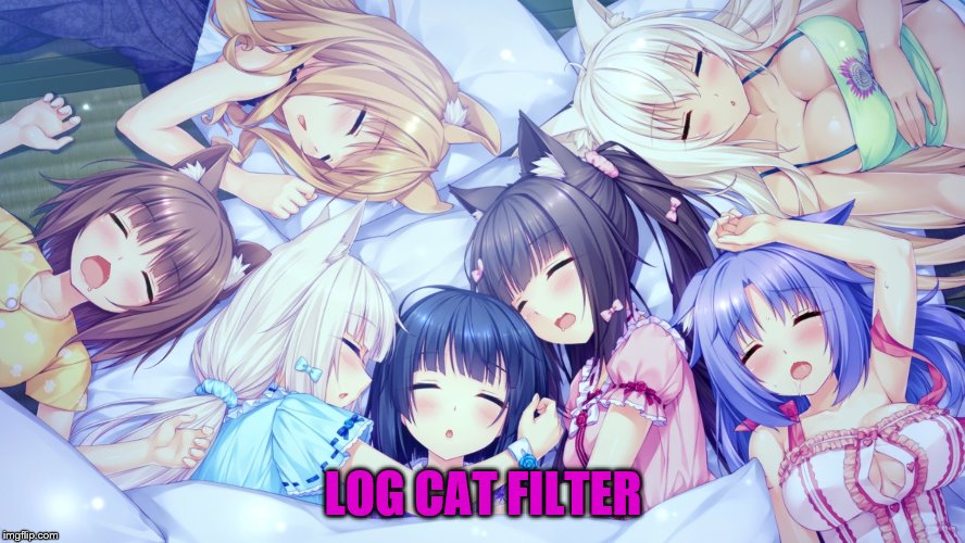 LOG CAT FILTER | made w/ Imgflip meme maker
