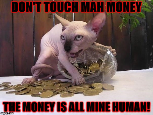  DON'T TOUCH MAH MONEY; THE MONEY IS ALL MINE HUMAN! | image tagged in my money | made w/ Imgflip meme maker