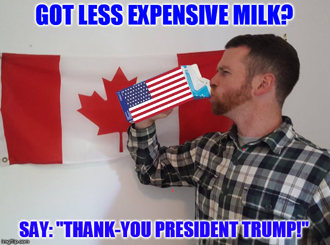 Take that!  Canadian dairy cartel. | GOT LESS EXPENSIVE MILK? SAY: "THANK-YOU PRESIDENT TRUMP!" | image tagged in dairy,canada,cartel,got milk,trump,nafta | made w/ Imgflip meme maker