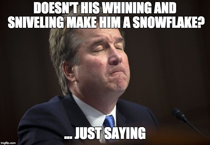 DOESN'T HIS WHINING AND SNIVELING MAKE HIM A SNOWFLAKE? ... JUST SAYING | image tagged in kavanaugh,snowflake,whining,wimp | made w/ Imgflip meme maker