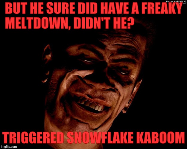 . red dark | BUT HE SURE DID HAVE A FREAKY MELTDOWN, DIDN'T HE? TRIGGERED SNOWFLAKE KABOOM | image tagged in g-man from half-life | made w/ Imgflip meme maker