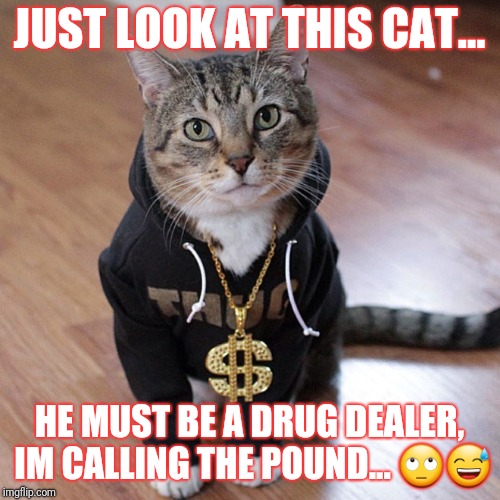 Feline Thug Life | JUST LOOK AT THIS CAT... HE MUST BE A DRUG DEALER, IM CALLING THE POUND... 🙄😅 | image tagged in thug life,feline,drug dealer,judging,all lives matter | made w/ Imgflip meme maker