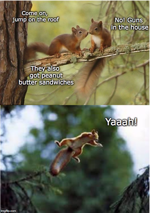 Daring Farmhouse Raid | Come on, jump on the roof; No! Guns in the house; They also got peanut butter sandwiches; Yaaah! | image tagged in squirrels,peanut butter | made w/ Imgflip meme maker