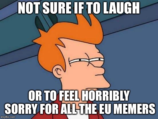 Futurama Fry Meme | NOT SURE IF TO LAUGH OR TO FEEL HORRIBLY SORRY FOR ALL THE EU MEMERS | image tagged in memes,futurama fry | made w/ Imgflip meme maker