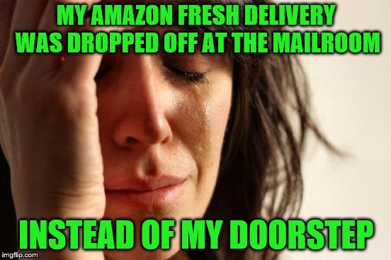 Because my frozen items will be fine waiting in there, right? | MY AMAZON FRESH DELIVERY WAS DROPPED OFF AT THE MAILROOM; INSTEAD OF MY DOORSTEP | image tagged in memes,first world problems,amazon fresh,delivery,groceries | made w/ Imgflip meme maker