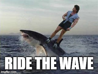 RIDE THE WAVE | image tagged in badass,chuck norris | made w/ Imgflip meme maker