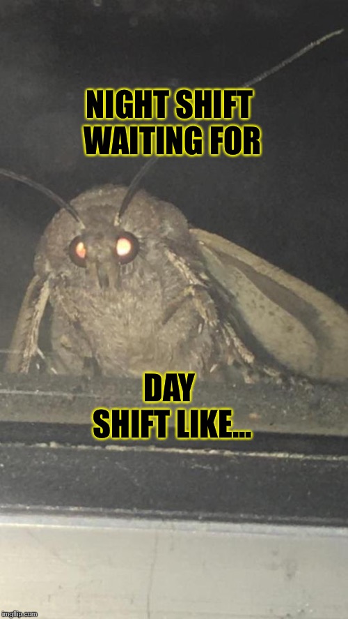 NIGHT SHIFT WAITING FOR; DAY SHIFT LIKE... | image tagged in moth | made w/ Imgflip meme maker