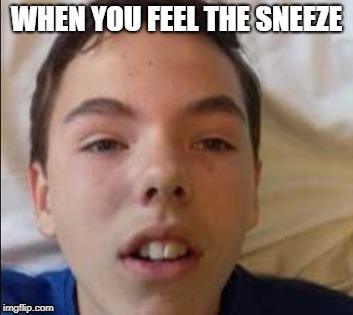 When you feel it like | WHEN YOU FEEL THE SNEEZE | image tagged in sneeze,dank memes,da wae | made w/ Imgflip meme maker