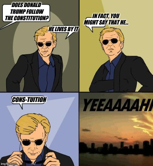 CSI Horatio YEEEAAAAAAA | DOES DONALD TRUMP FOLLOW THE CONSTITUTION? IN FACT, YOU MIGHT SAY THAT HE... HE LIVES BY IT; CONS-TUITION | image tagged in csi horatio yeeeaaaaaaa | made w/ Imgflip meme maker