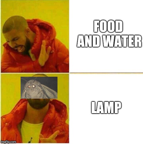 Drake | FOOD AND WATER; LAMP | image tagged in drake hotline approves,moth,lamp,meme | made w/ Imgflip meme maker