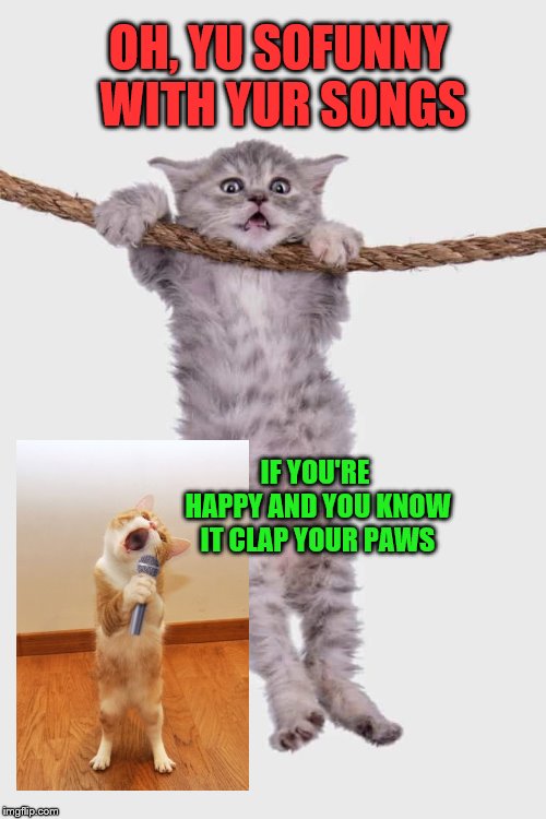 What this lacks in humor, it makes up in cuteness | OH, YU SOFUNNY WITH YUR SONGS; IF YOU'RE HAPPY AND YOU KNOW IT CLAP YOUR PAWS | image tagged in cats,cute,funny | made w/ Imgflip meme maker