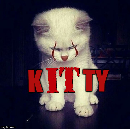 Kittywise | TY; K | image tagged in kitty,it clown,custom template,evil cat | made w/ Imgflip meme maker