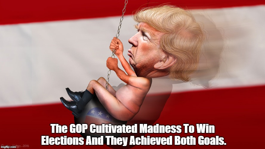 The GOP Cultivated Madness To Win Elections And They Achieved Both Goals. | made w/ Imgflip meme maker