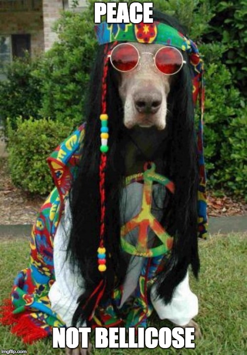 Hippie dog  | PEACE; NOT BELLICOSE | image tagged in hippie dog | made w/ Imgflip meme maker