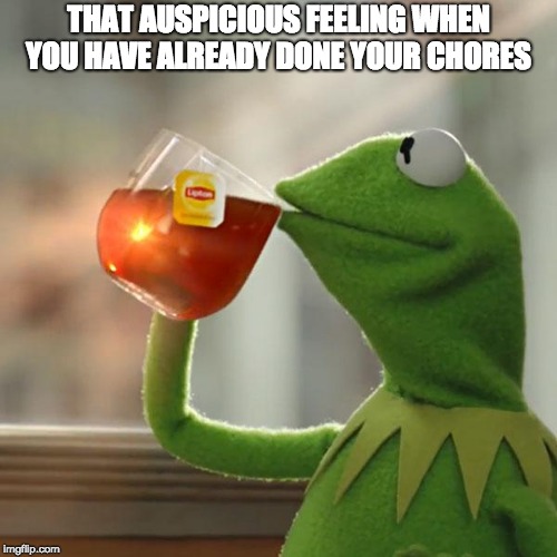 But That's None Of My Business Meme | THAT AUSPICIOUS FEELING WHEN YOU HAVE ALREADY DONE YOUR CHORES | image tagged in memes,but thats none of my business,kermit the frog | made w/ Imgflip meme maker