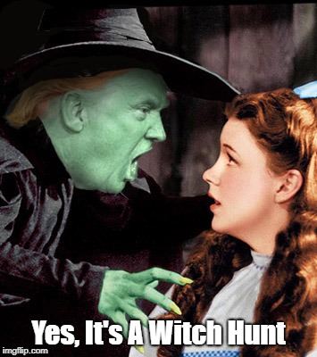 "Yes, It's A Witch Hunt" | Yes, It's A Witch Hunt | image tagged in trump,oz,deplorable donald,despicable donald,witch hunt | made w/ Imgflip meme maker