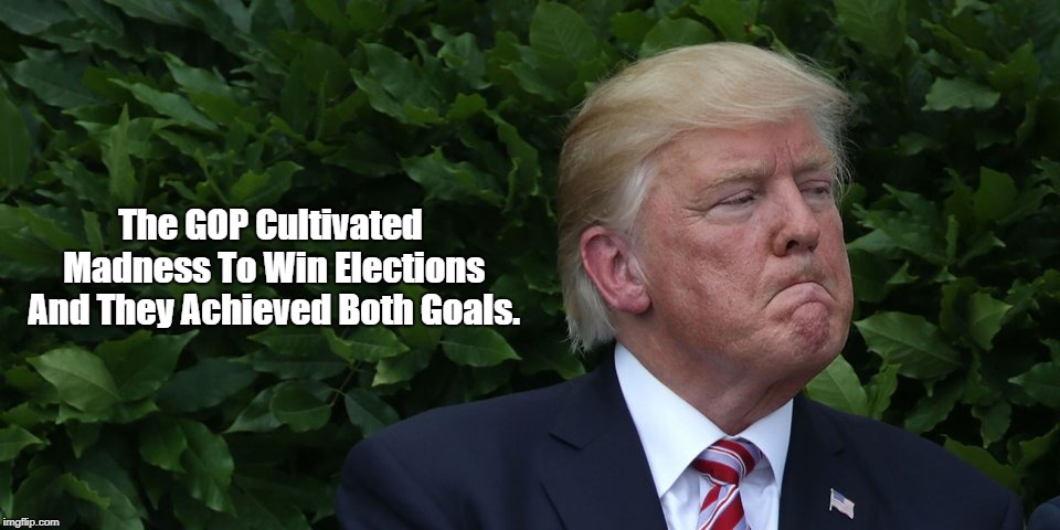 The GOP Cultivated Madness To Win Elections And They Achieved Both Goals. | made w/ Imgflip meme maker