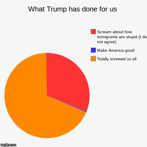 What Trump has done for us | Totally screwed us all, Make America good, Scream about how immigrants are stupid (I do not agree) | image tagged in funny,pie charts | made w/ Imgflip chart maker
