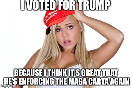 Dumb Blonde | I VOTED FOR TRUMP; BECAUSE I THINK IT’S GREAT THAT HE’S ENFORCING THE MAGA CARTA AGAIN | image tagged in dumb blonde | made w/ Imgflip meme maker