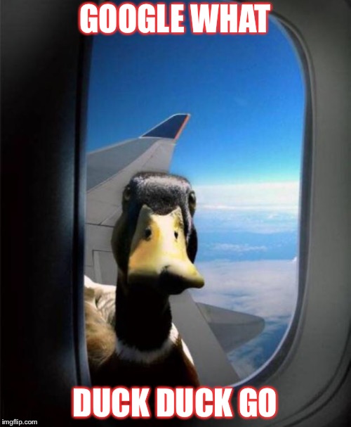 Duck on plane wing | GOOGLE WHAT; DUCK DUCK GO | image tagged in duck on plane wing | made w/ Imgflip meme maker