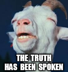 goat | THE  TRUTH  HAS  BEEN  SPOKEN | image tagged in goat | made w/ Imgflip meme maker