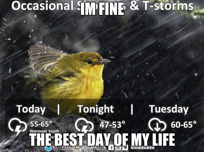 IM FINE; THE BEST DAY OF MY LIFE | image tagged in weather  bird | made w/ Imgflip meme maker